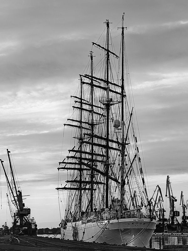 седов Барк Седов в порту Калининграда фото превью