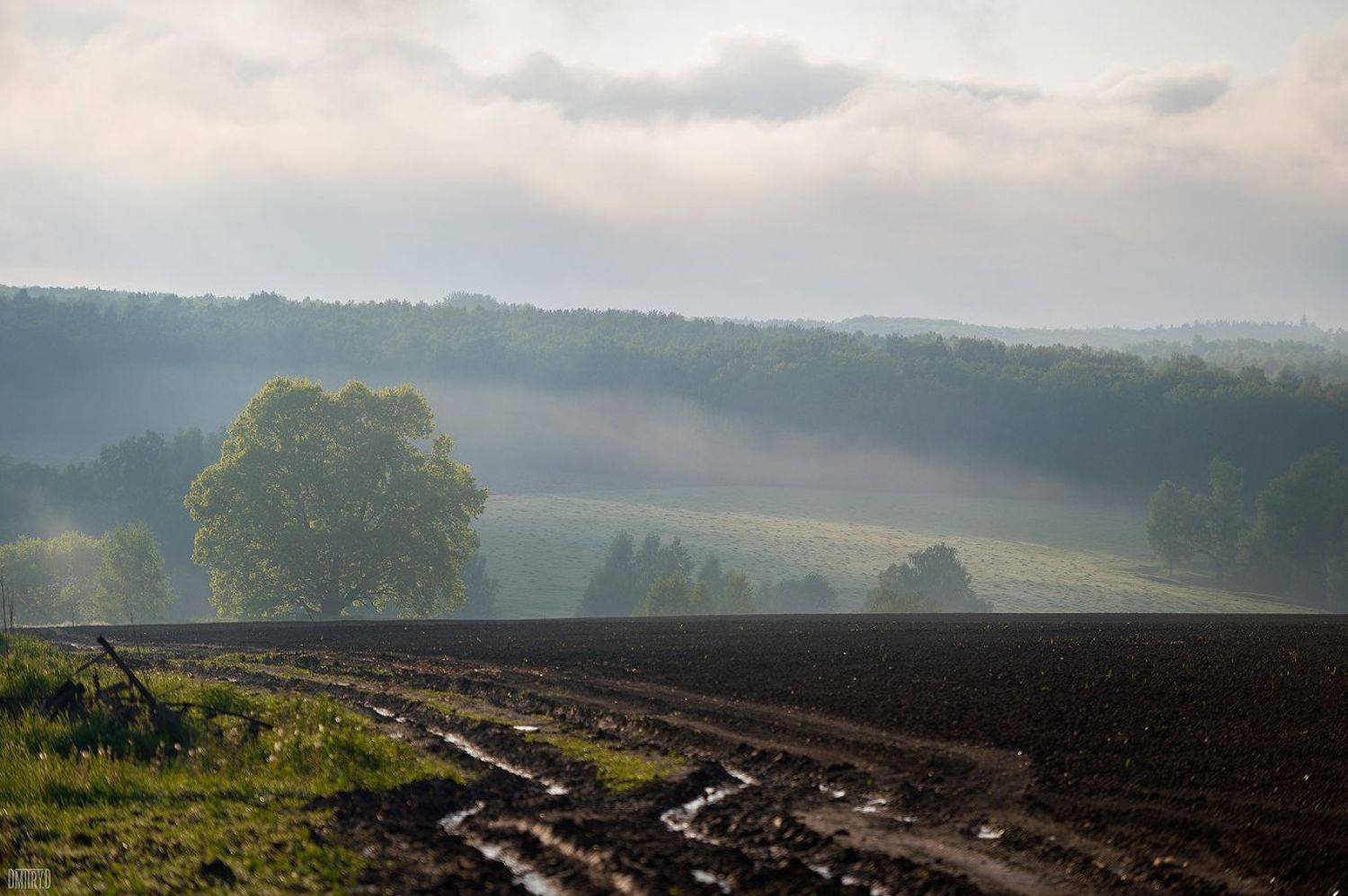 туман, вечер, закат,, Дмитрий Доронин