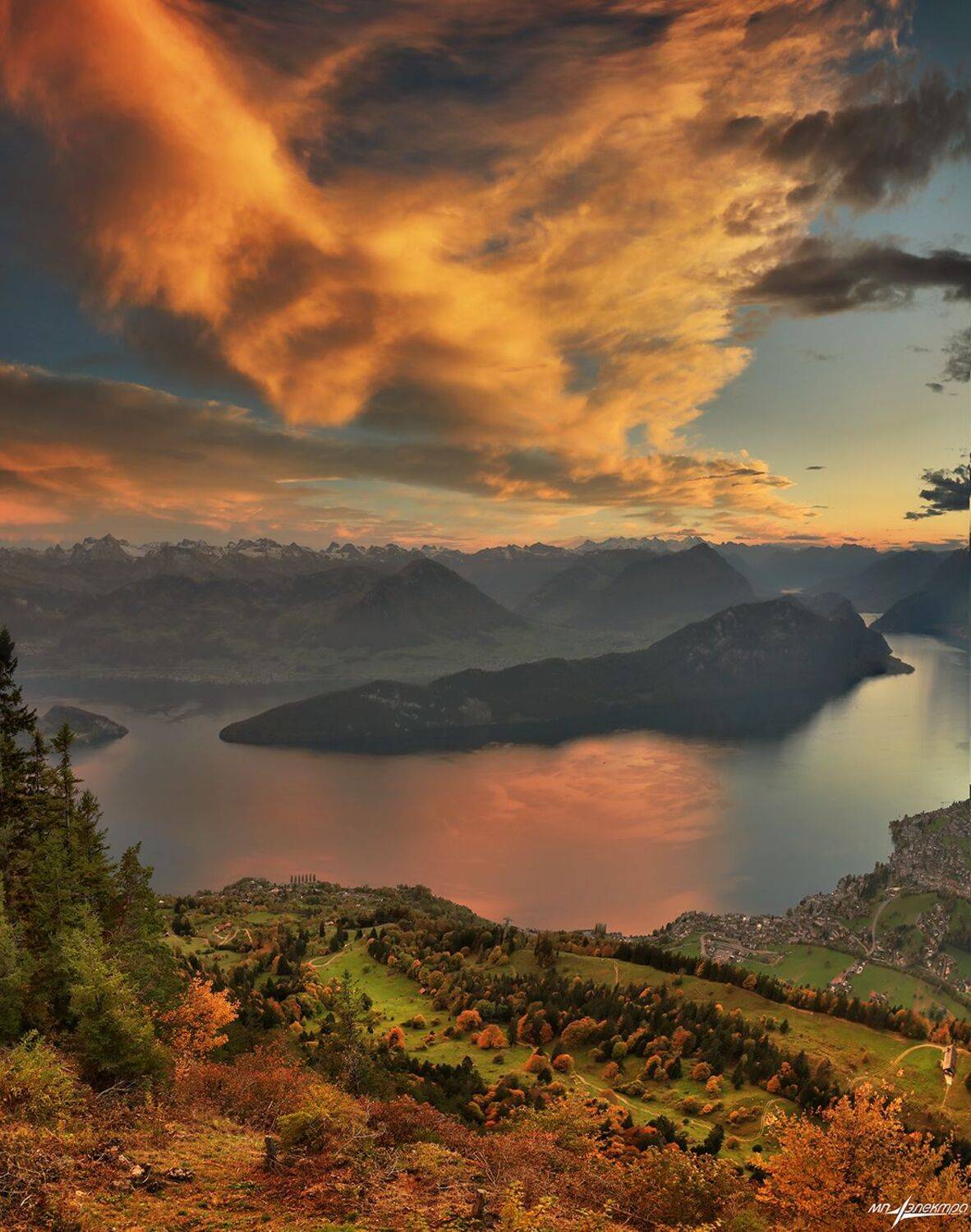 swiss, Матвеев Николай