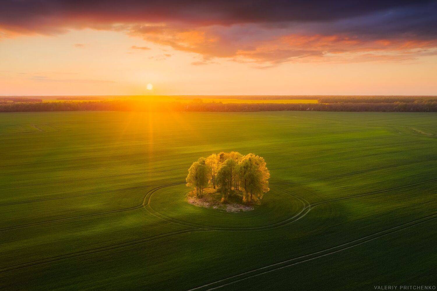 природа, закат, пейзаж, весна, Валерий Притченко