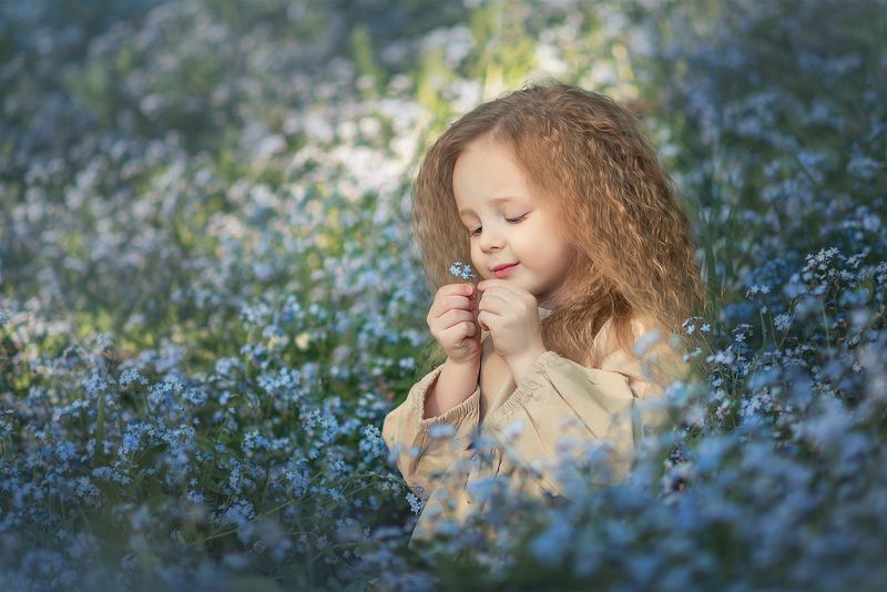 Незабудка фото превью