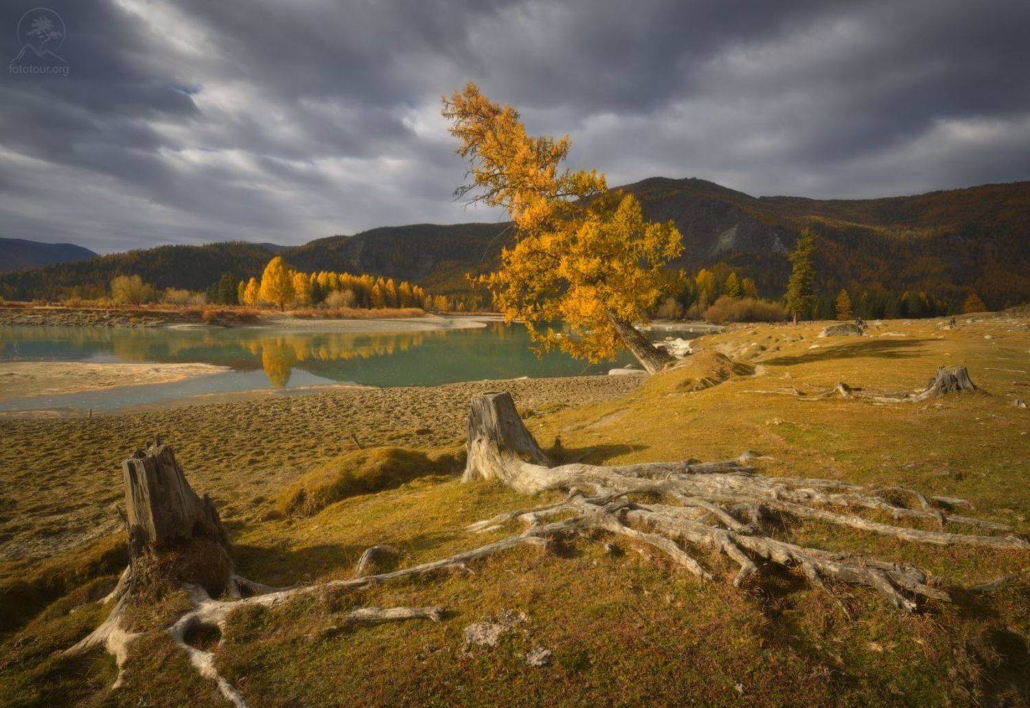 беляши, джазатор, Анатолий Гордиенко