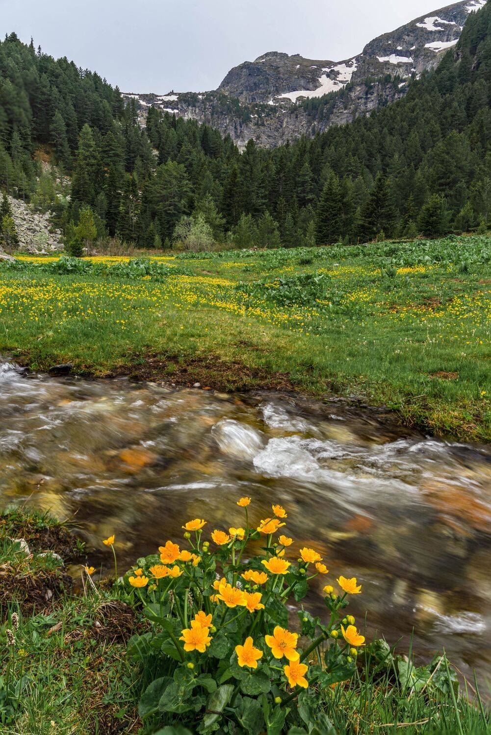 spring nature landscape mountain , viktor demidov