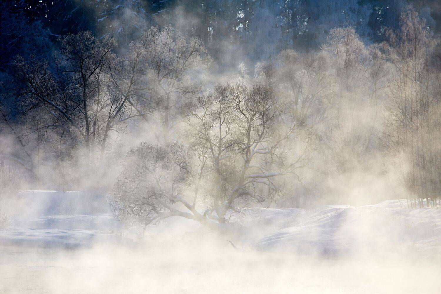 , Александр Шандов