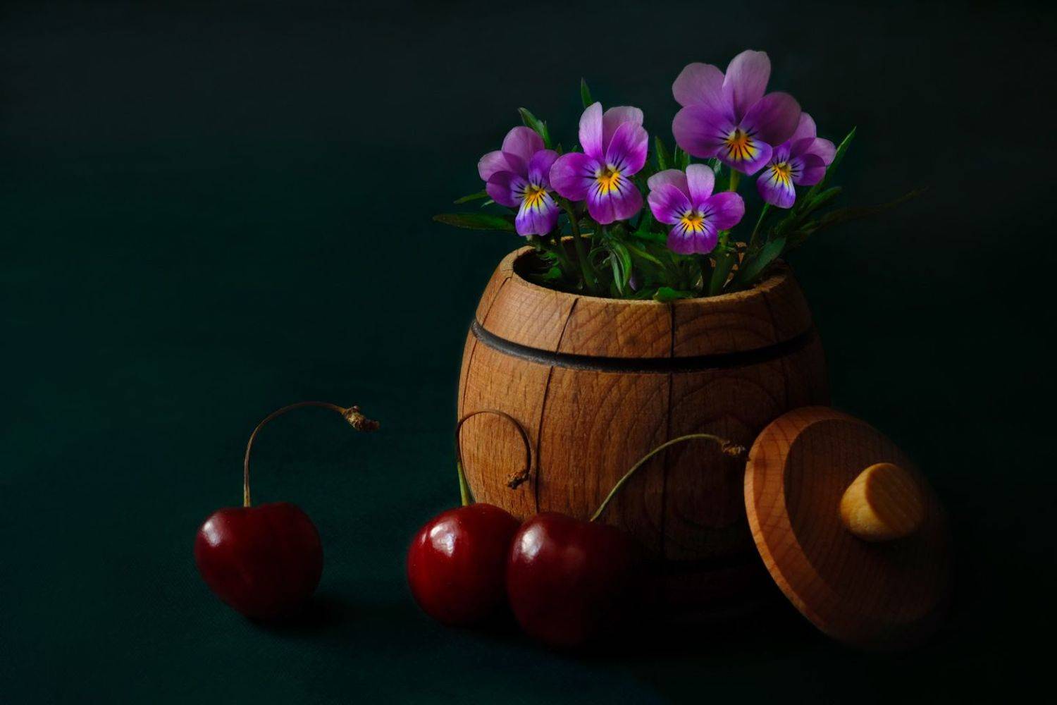 , Алёна Сурнина