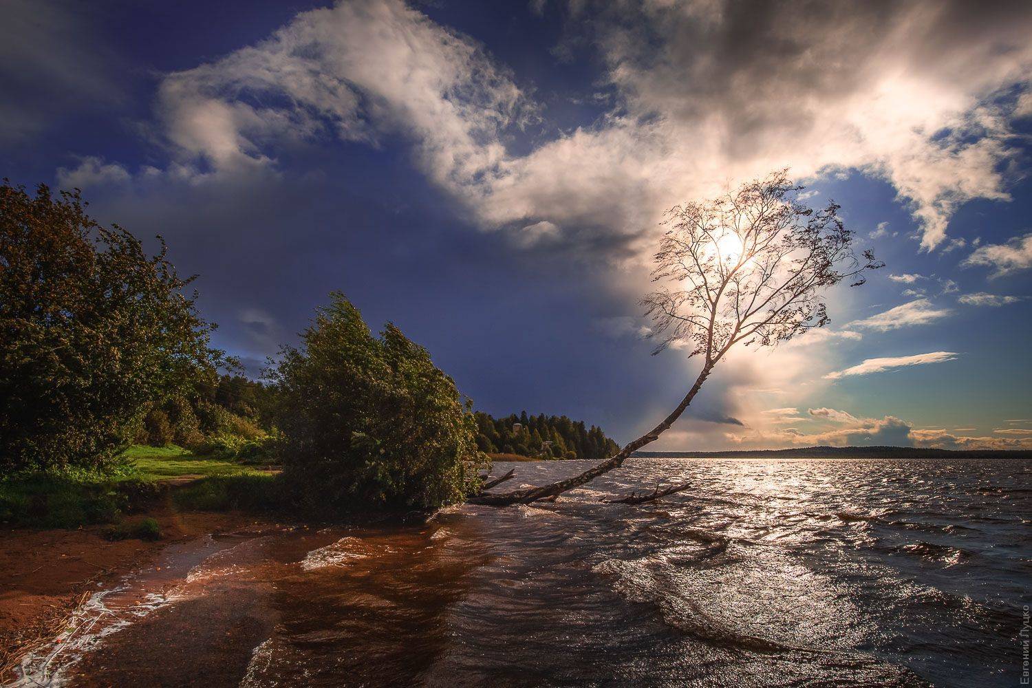 , Евгений Луцко