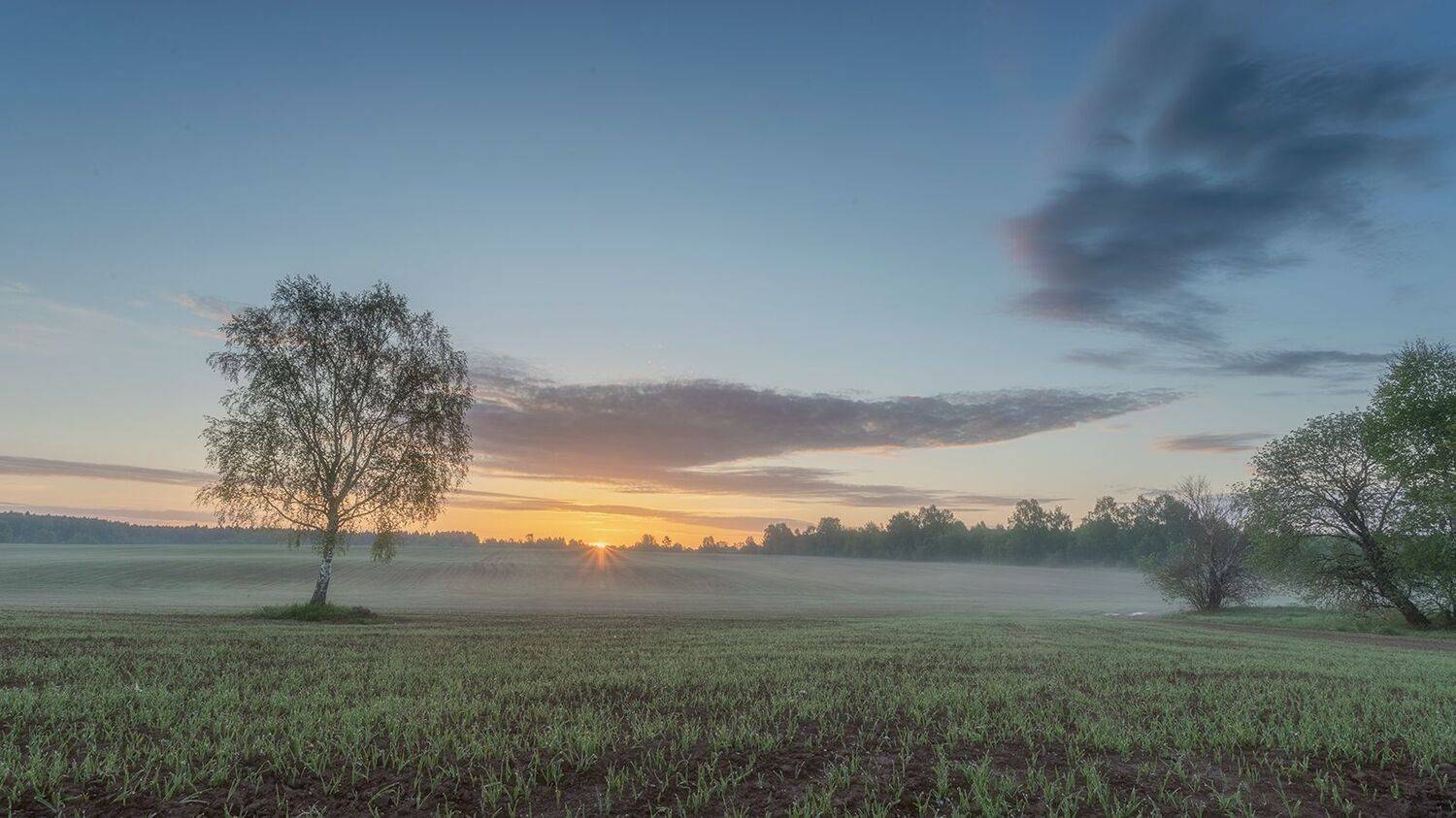 , Николай Андреев