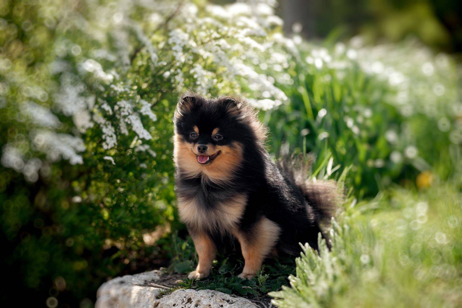 , Коптилина Галина