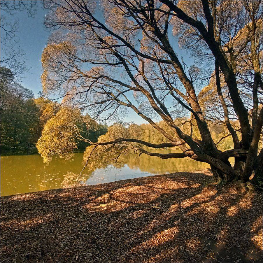 москва, осень, Тарасов Алексей