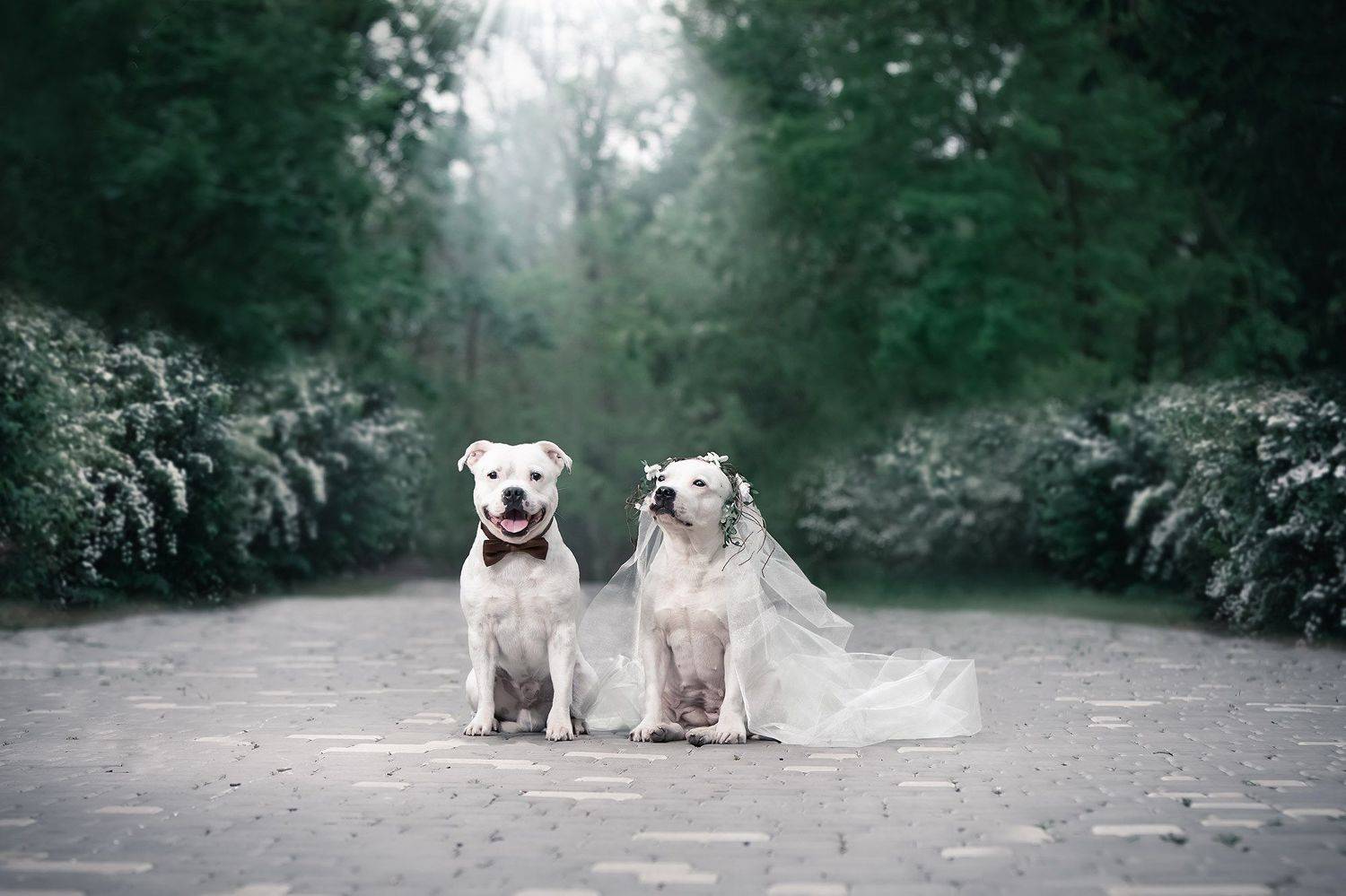 , Галина Ледок