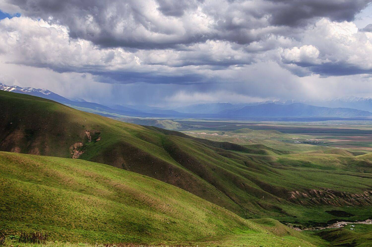 кыргызстан,горы, суусамыр, Элина Магалимова