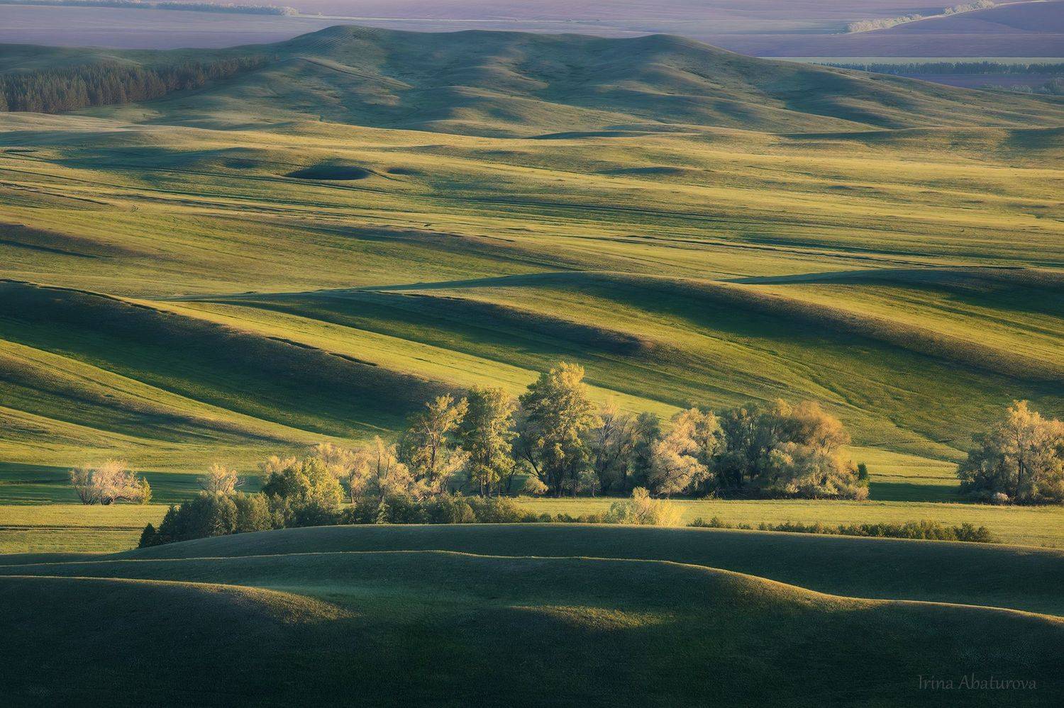 урал, оренбуржье, долгие горы, карамурунтау, степь, зелень, графика, тоскана, Ирина Абатурова