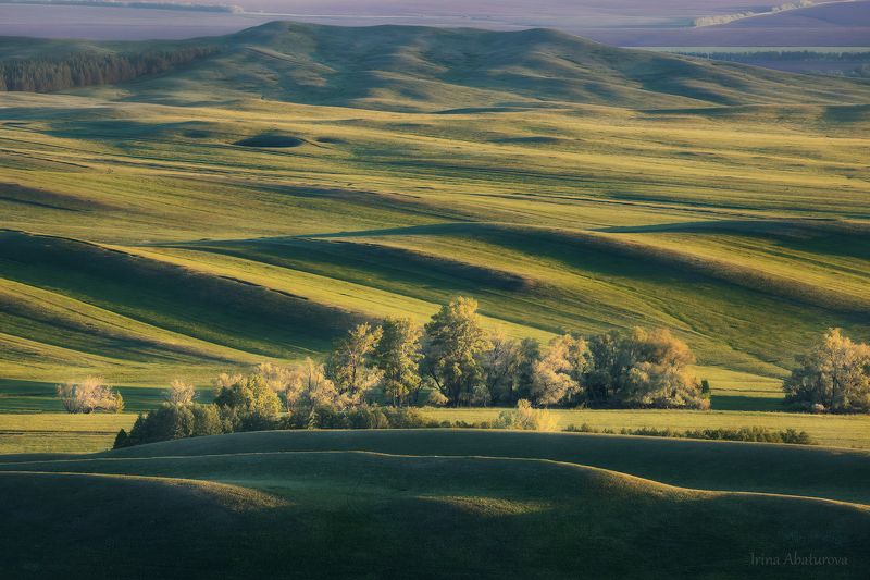 урал, оренбуржье, долгие горы, карамурунтау, степь, зелень, графика, тоскана Graphics of Orenburg region / графика Оренбуржья фото превью
