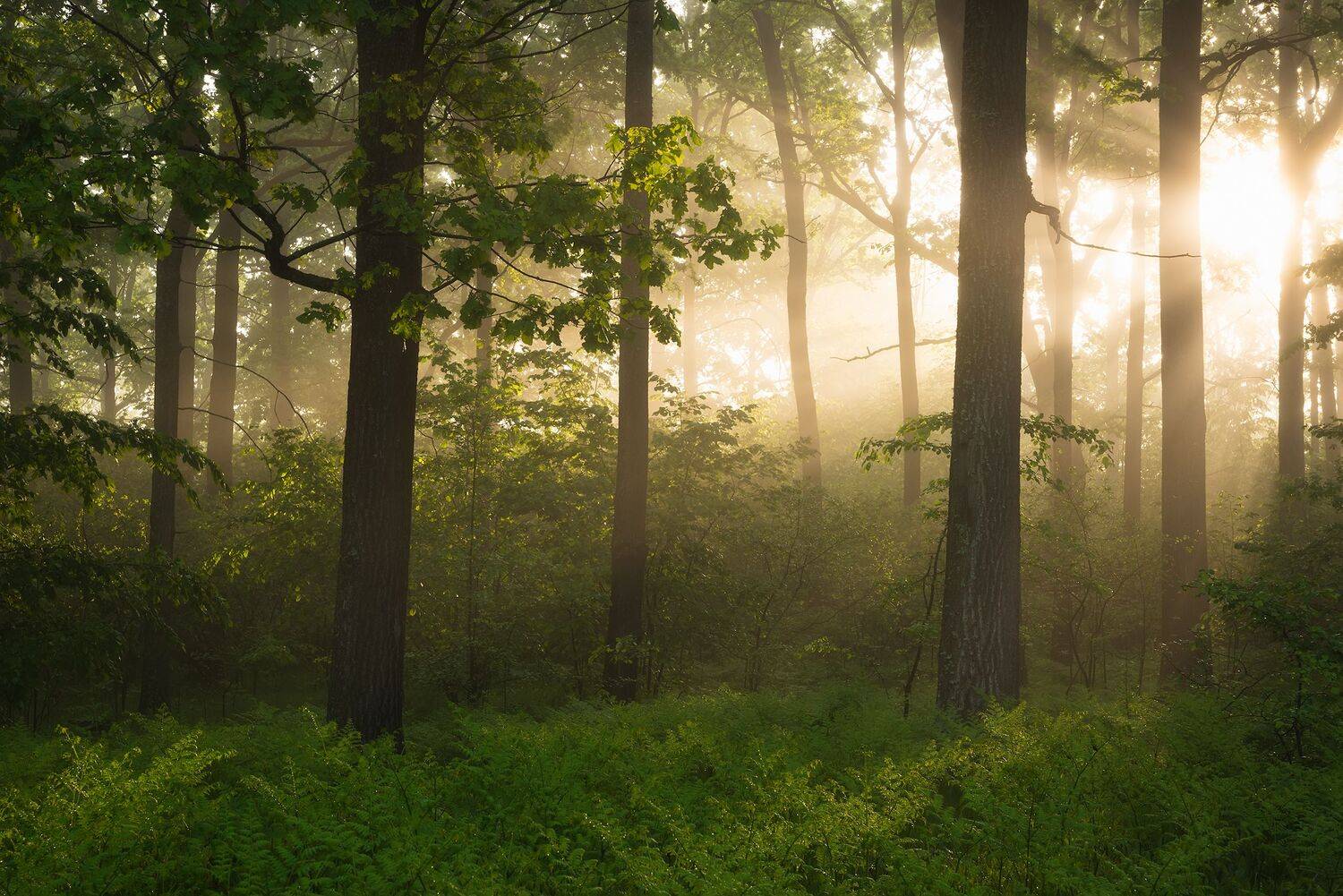 , Захаров Дмитрий