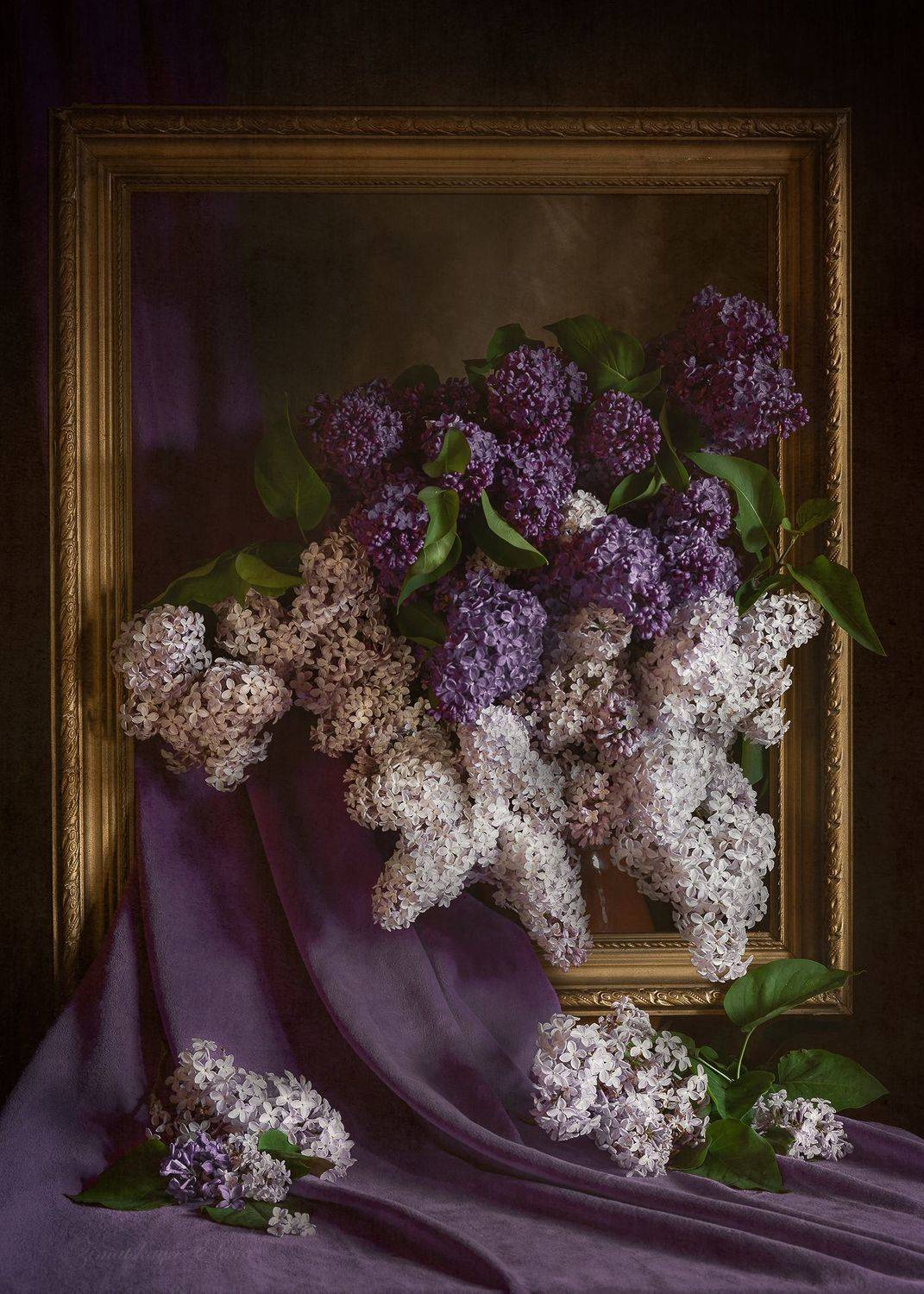 , Елена Зимацкая