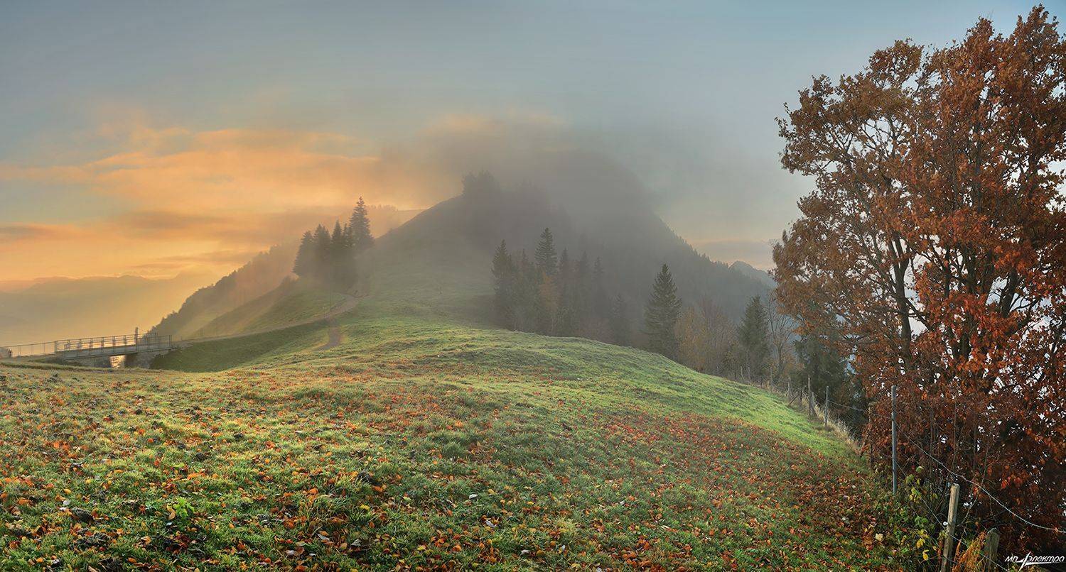 swiss, Матвеев Николай
