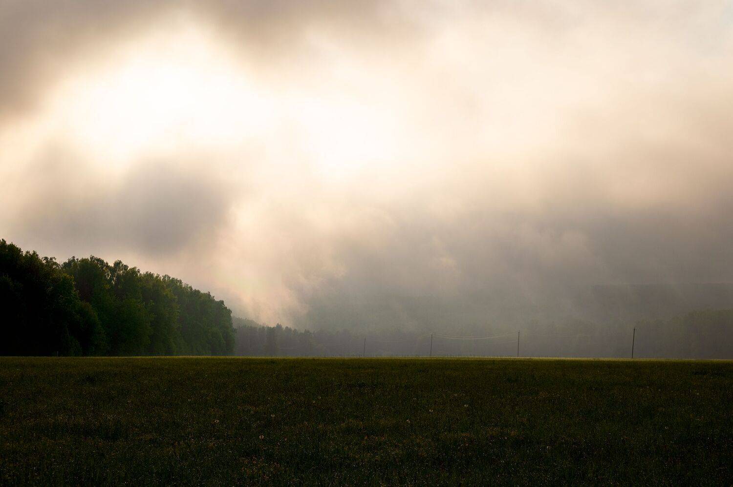 , Виталий Стрельцов