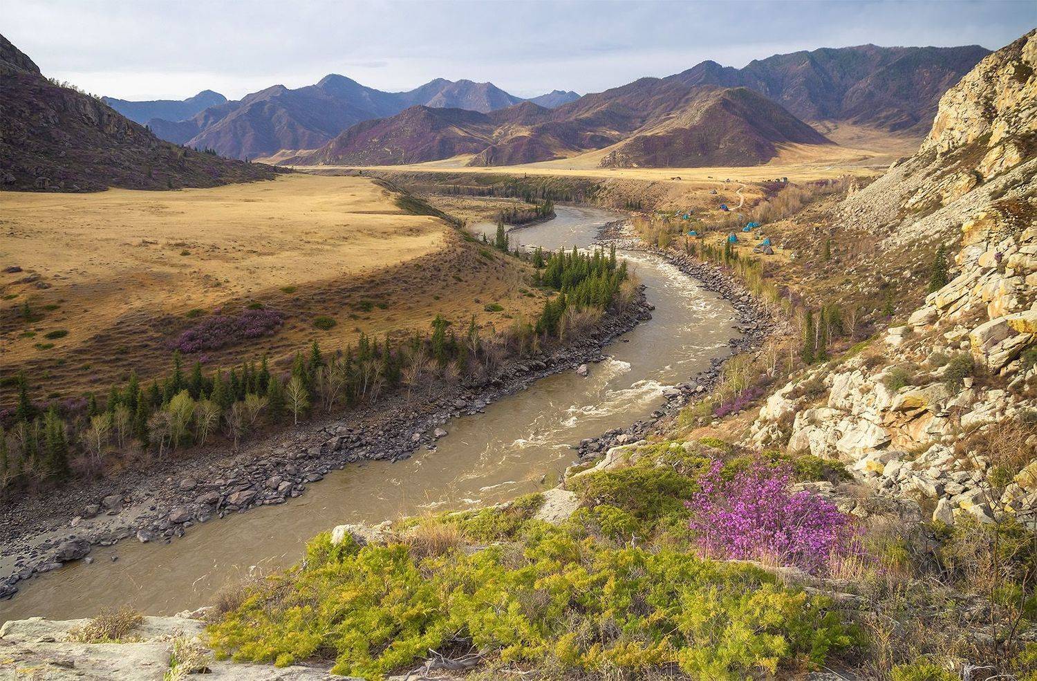 , Лещёнок Александр
