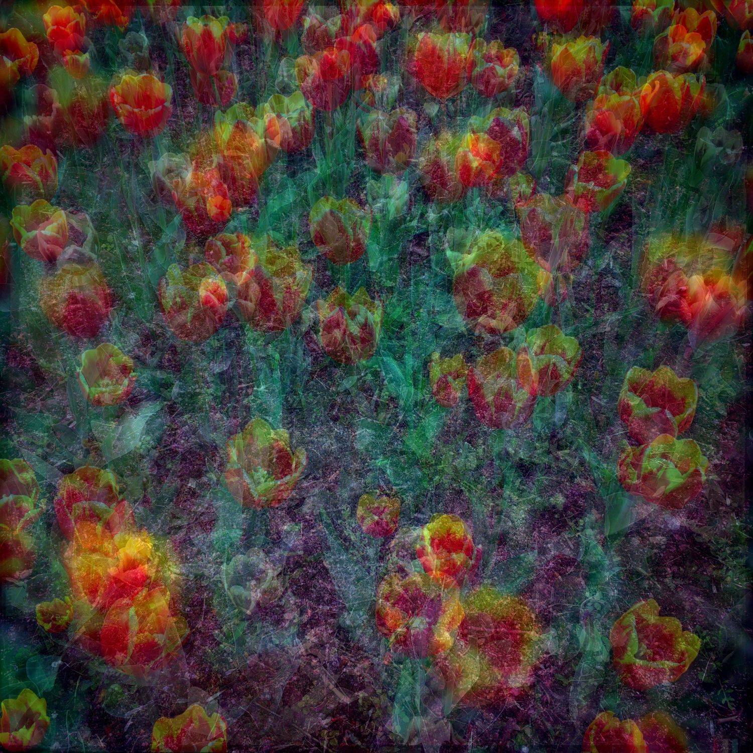 , Антон Лаба