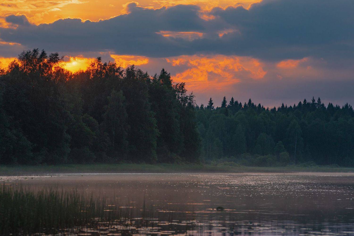 великий двор,вологодчина,кема,север, Роман Горячий