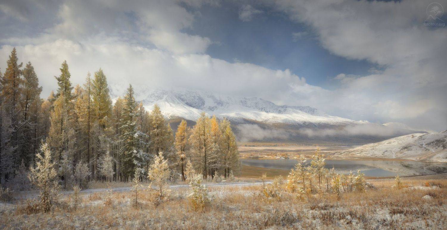 джангысколь, ештыкель, Анатолий Гордиенко