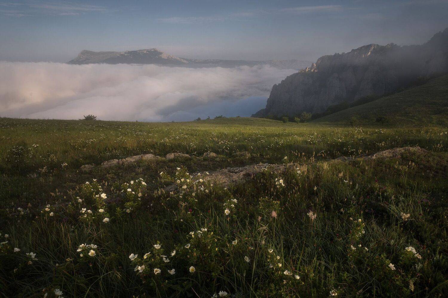 крым, Владимир Ляпин