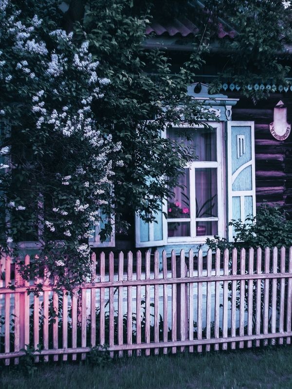 still life, macro, nature, flowers  фото превью