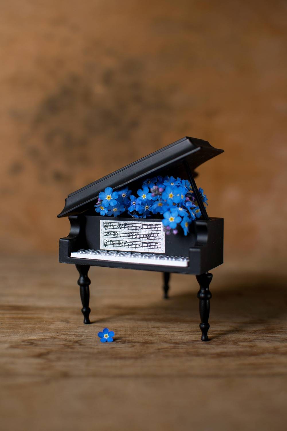 , Чепрасова Мария