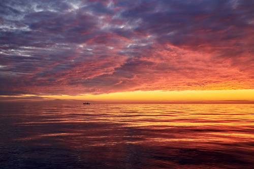 Fire in the sky