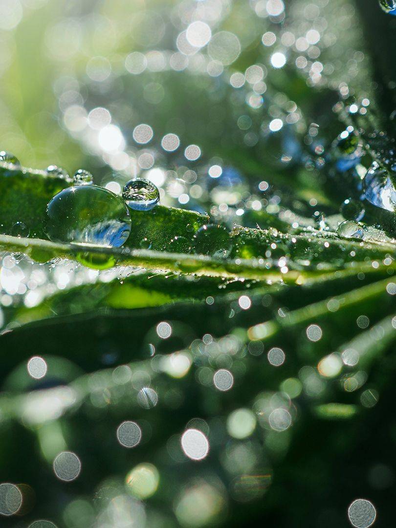 , Сергей Калёв