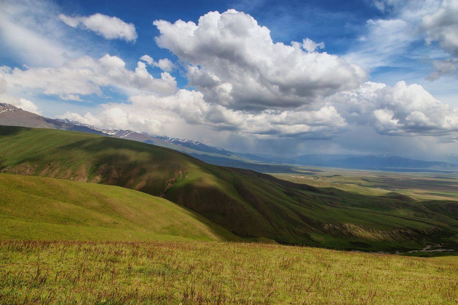 кыргызстан,горы, суусамыр, Элина Магалимова