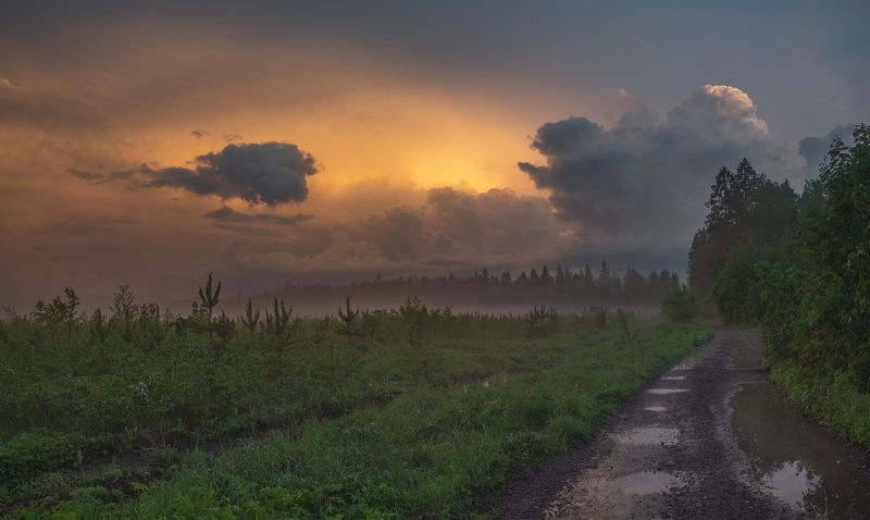 После дождика, в четверг фото превью