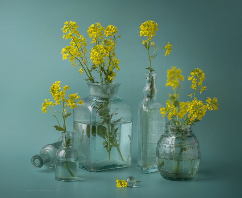 с луговыми* фото превью