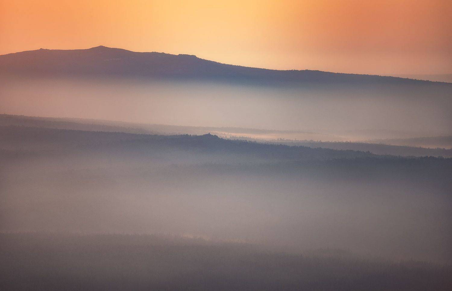 , Дмитрий Жучков