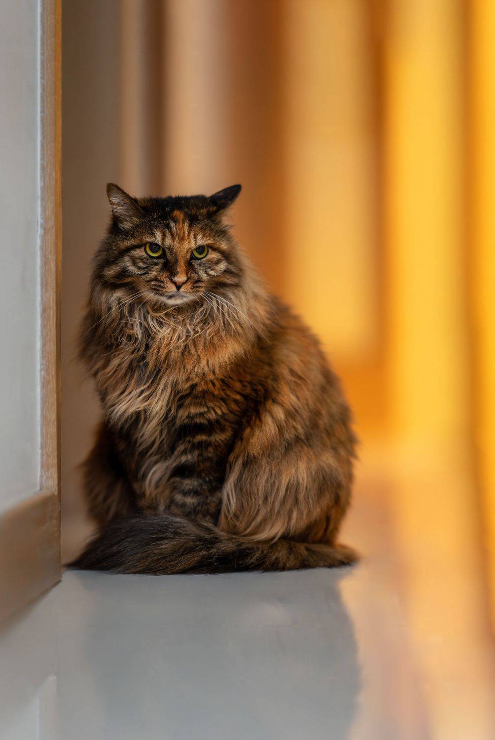 , Артем Падалко