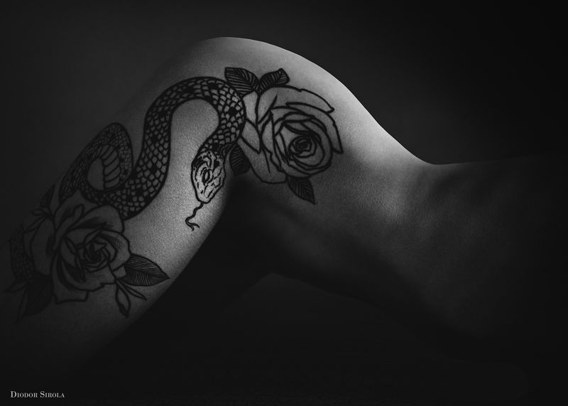 *** фото превью