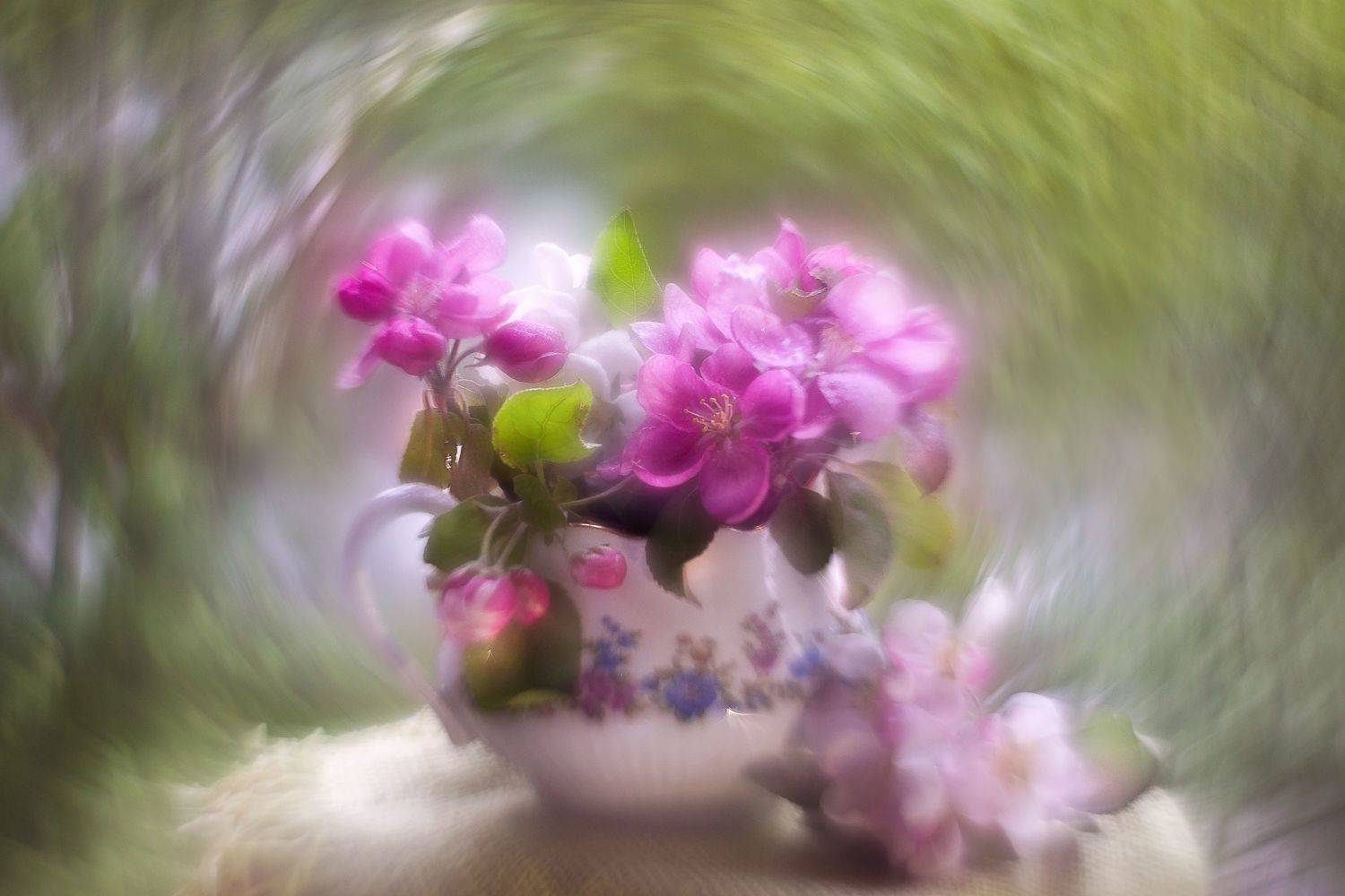 яблоневый цвет,старый объектив , гелиос 44-2, Горюкина Ирина