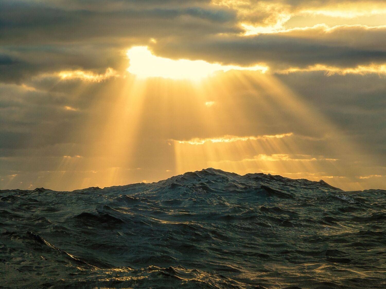 , Шварцман Евгений