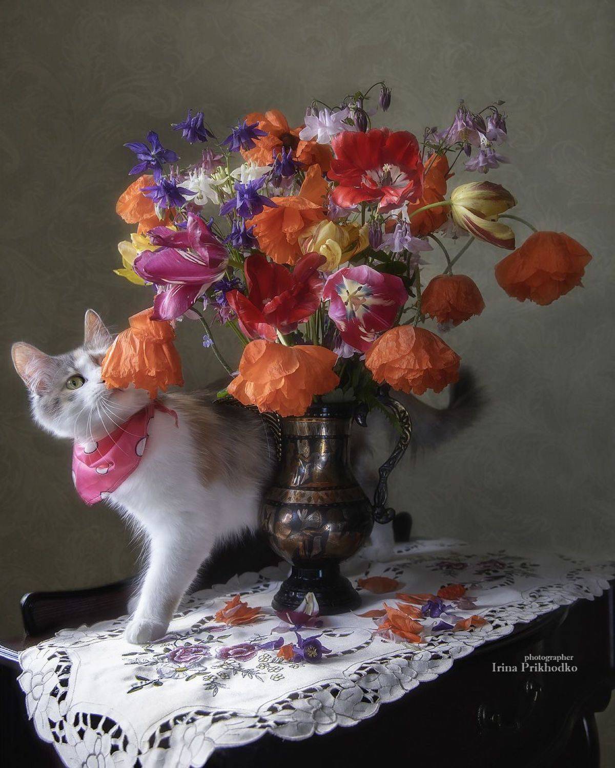 натюрморт, цветы, букеты. лето, кошка, котонатюрморт, Приходько Ирина