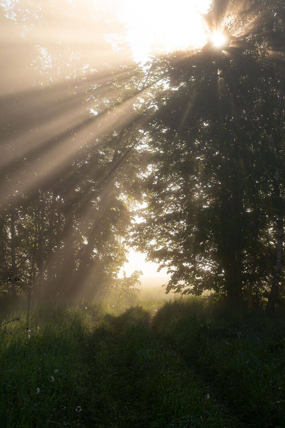 , Виталий Стрельцов