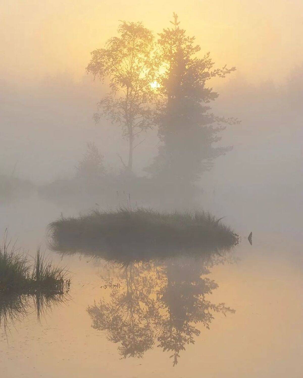 , Петр Косых