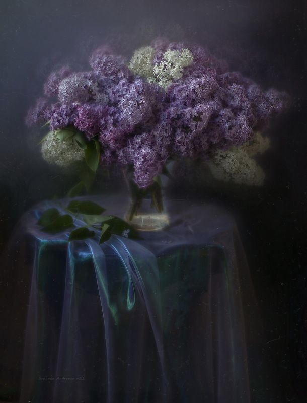 ночь с сиренью* фото превью