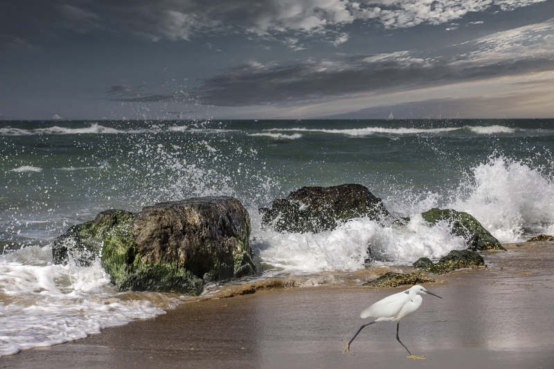 фото превью