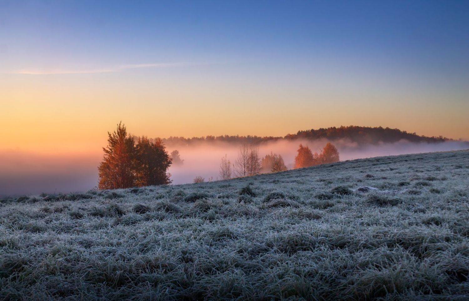 осень, утро, туман, поле,, небо,, Сергей Шабуневич