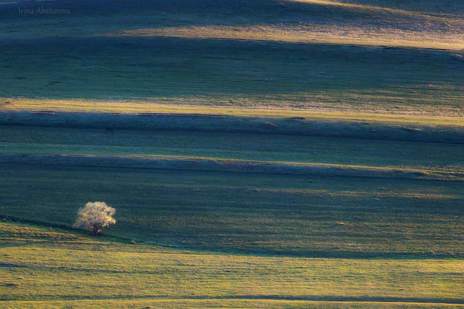 урал, оренбуржье, карумурунтау, графика, зелень, тоскана, Ирина Абатурова