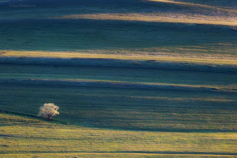 урал, оренбуржье, карумурунтау, графика, зелень, тоскана *** фото превью