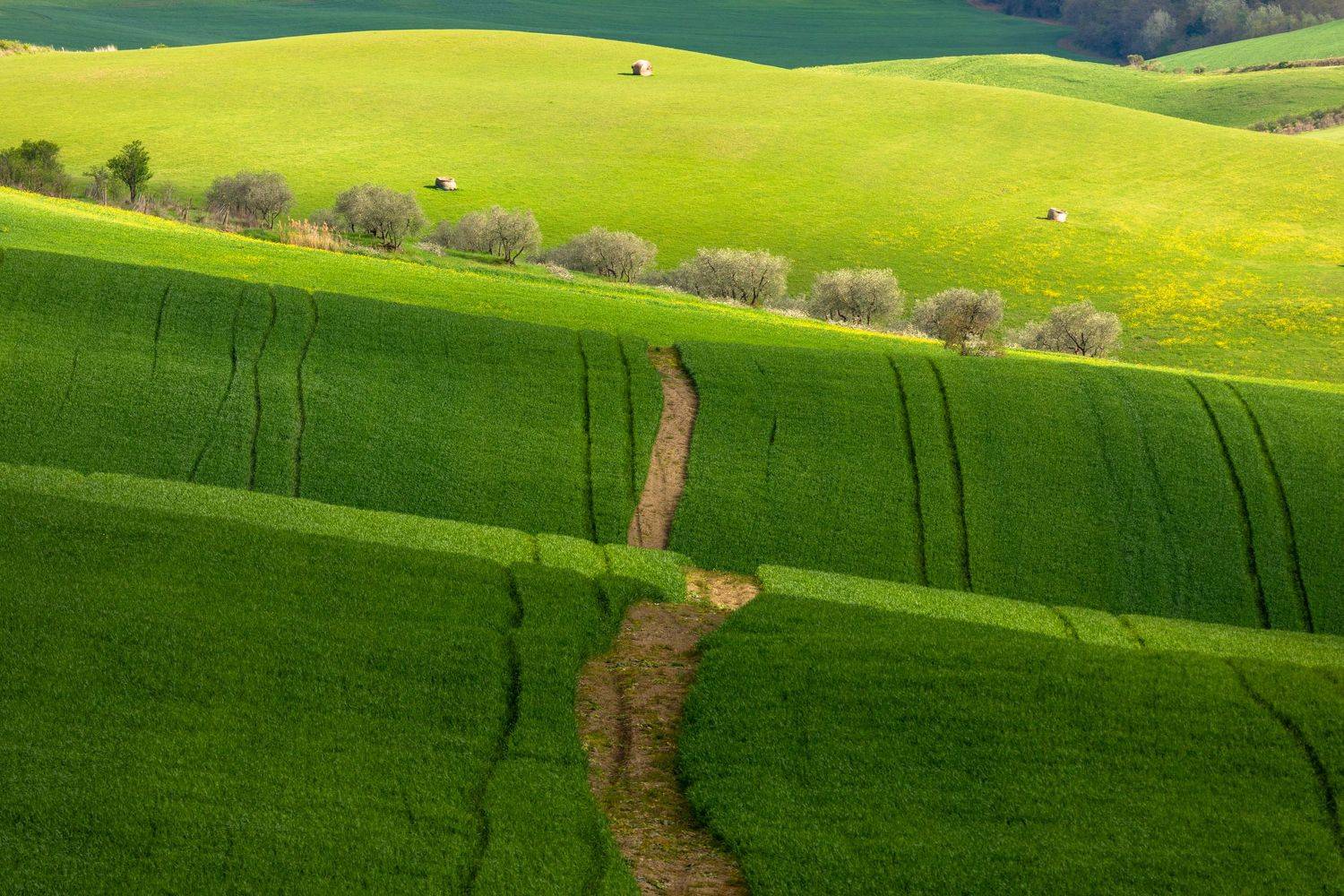 ***, Евгения Чех