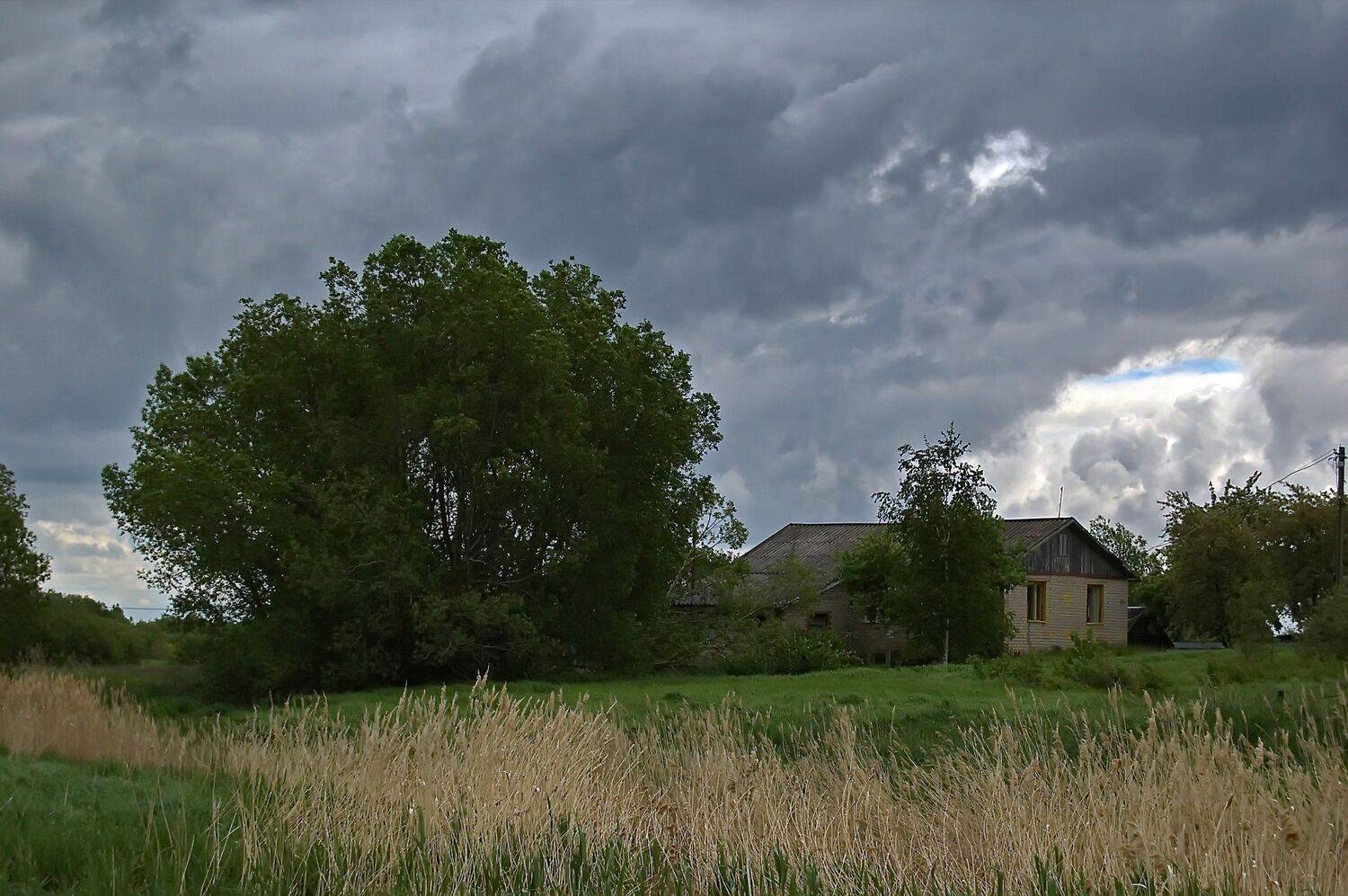 , Николаев Владимир