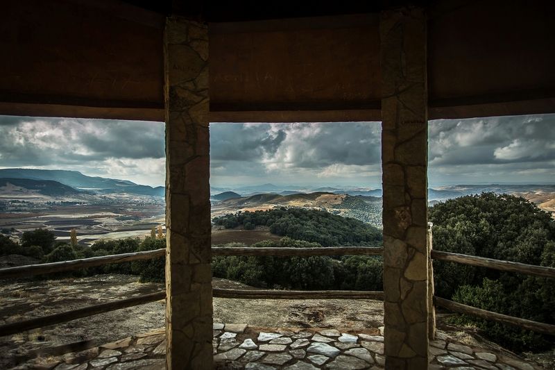 morocco Girl and the tree фото превью