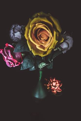 Roses
